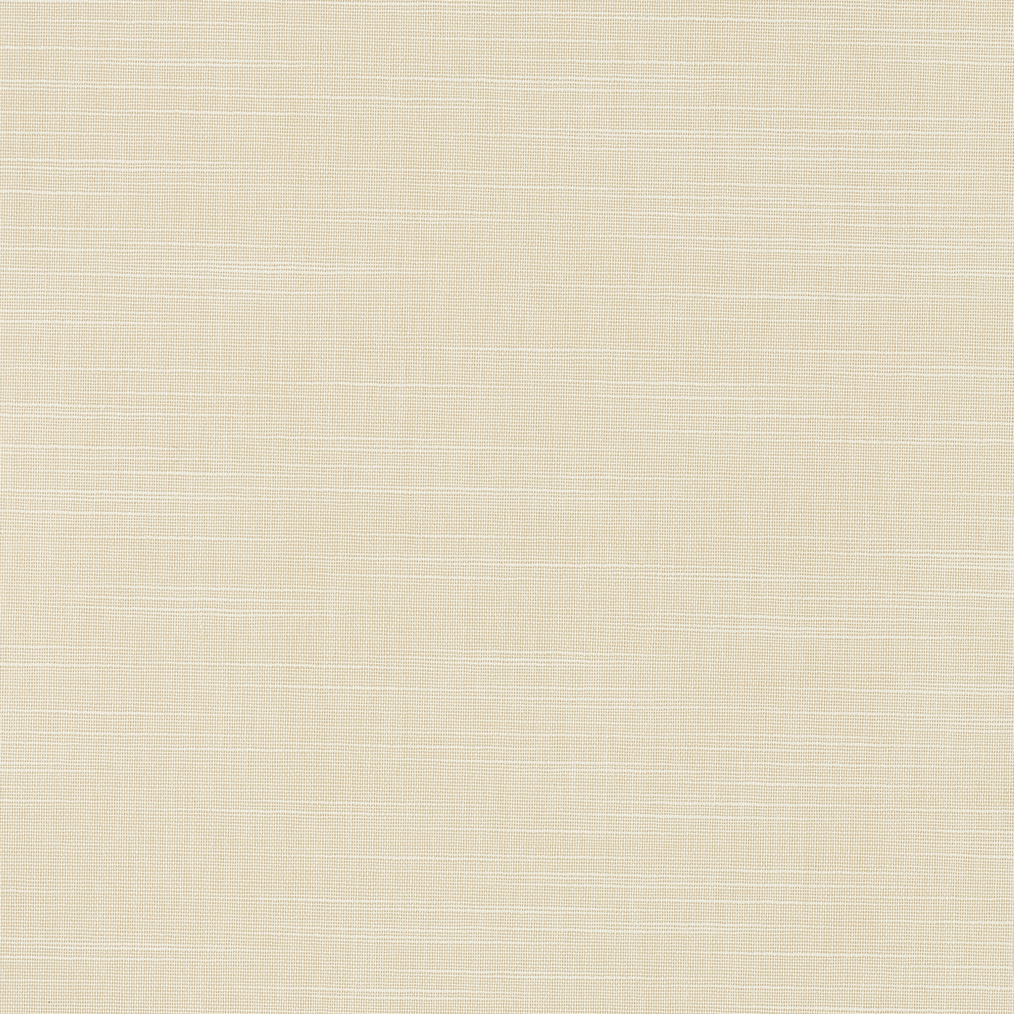 Hayden Honey 89MM Louvre