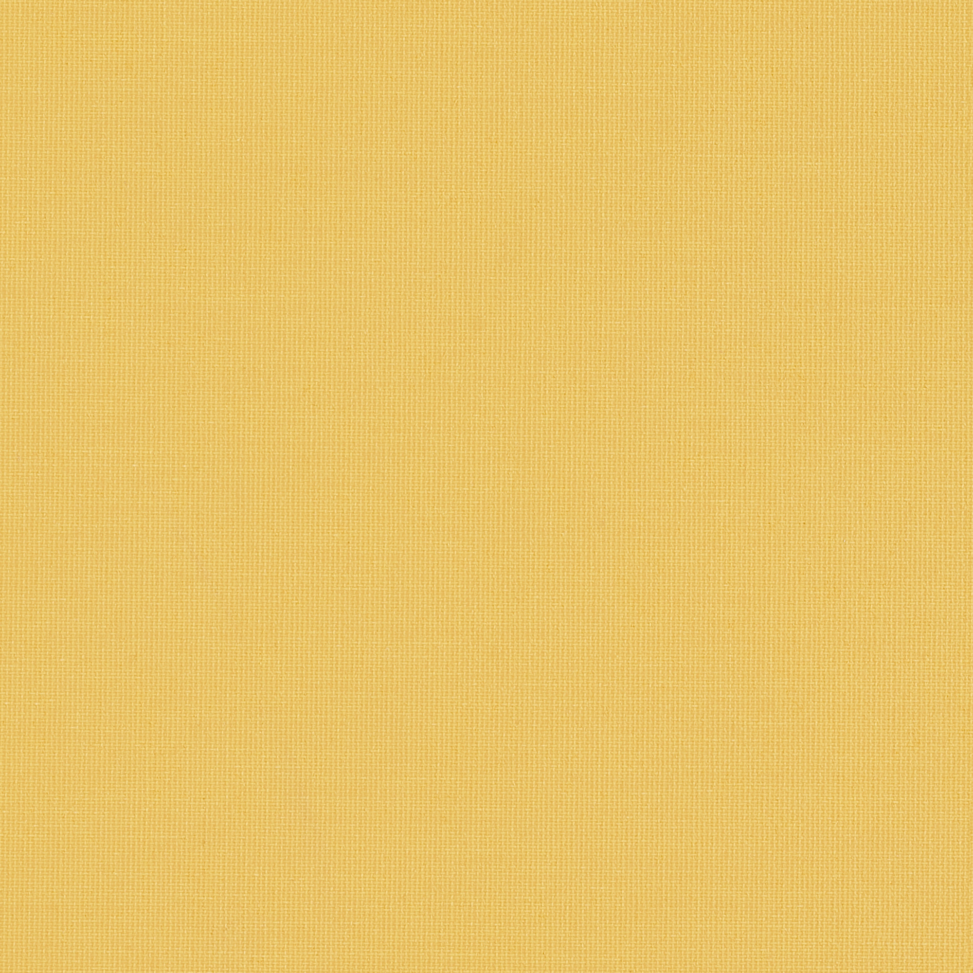 Splash Shine 89MM Louvre